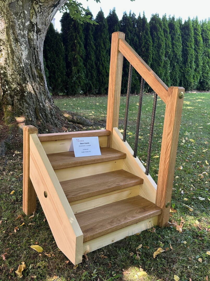 2025_austellung_treppenmodelle_bzemme_zimmerleute_3.jpg 2025_austellung_treppenmodelle_bzemme_zimmerleute_3.jpg