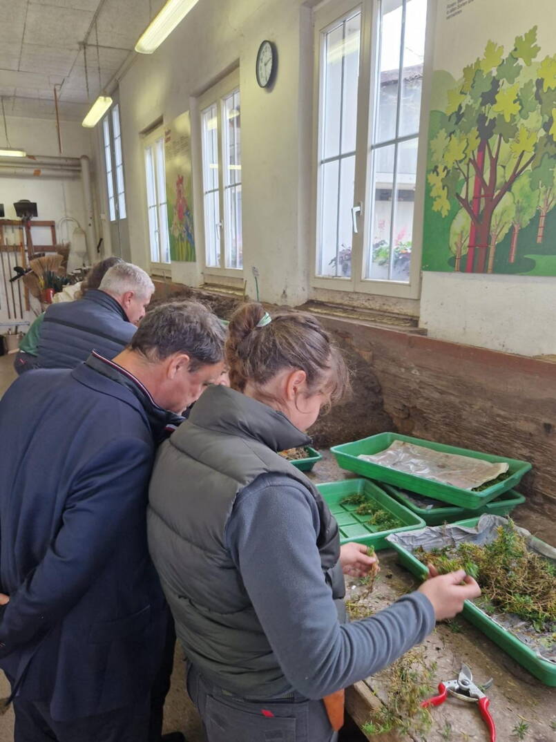 whatsapp_image_2025-10-30_at_10.36.30_1.jpeg whatsapp_image_2025-10-30_at_10.36.30_1.jpeg